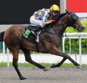 Double Ransom<br>Photo by Singapore Turf Club